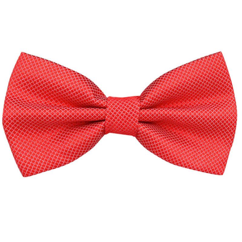 Men's Basic Series Colorful Bow Tie